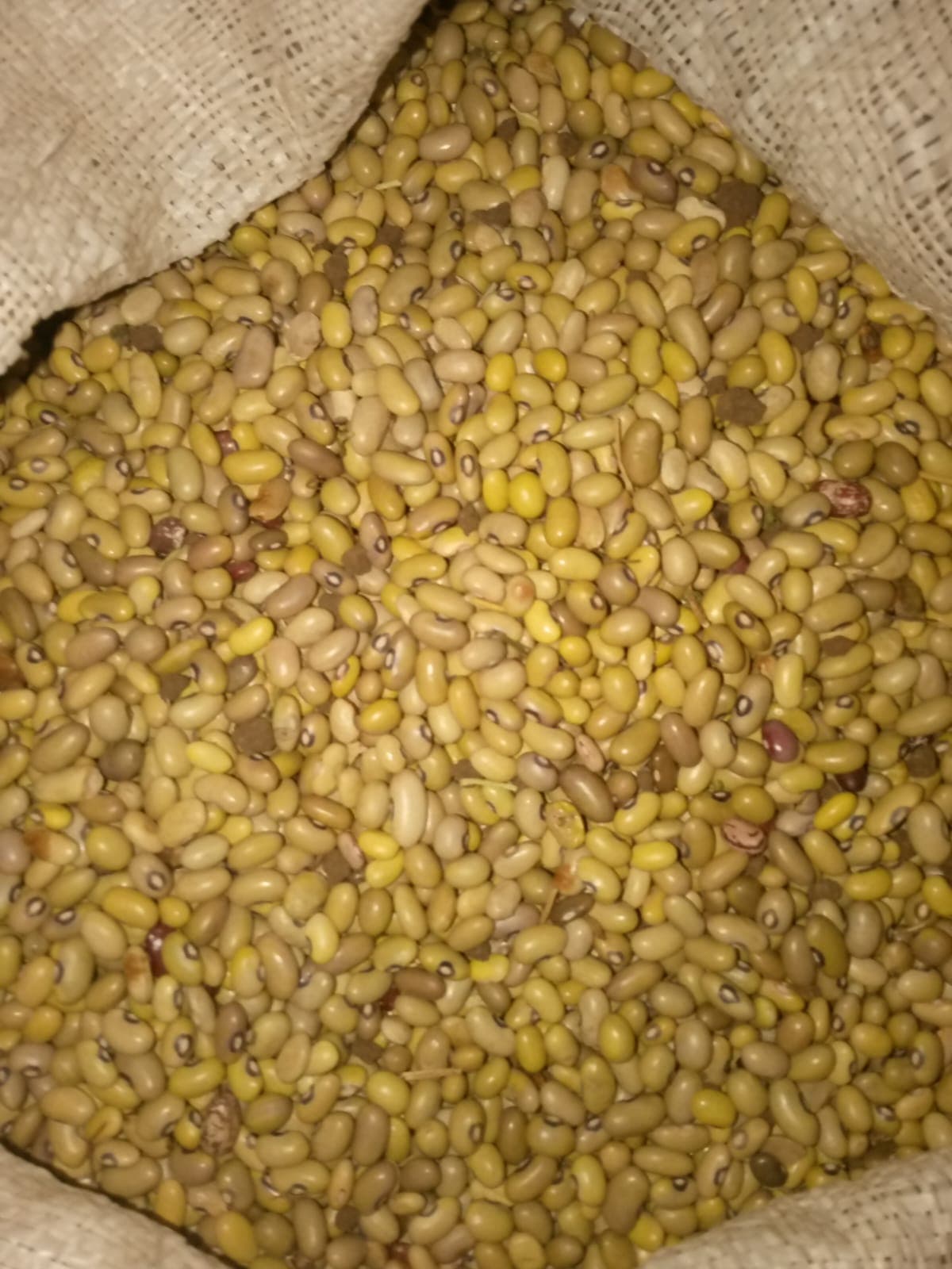 Cabro Hub general supply